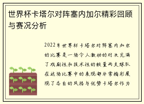 世界杯卡塔尔对阵塞内加尔精彩回顾与赛况分析